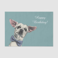 Cute Chihuahua Dog with Bow Tie | Happy Birthday