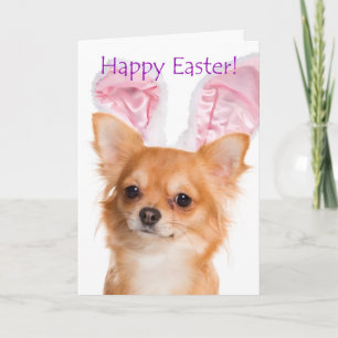 Cute Chihuahua Easter Card