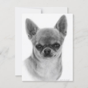 Cute Chihuahua Head Study Hand Painted Artwork Postcard