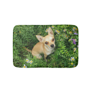 Cute Chihuahua in Grass Meadow Bath Mat