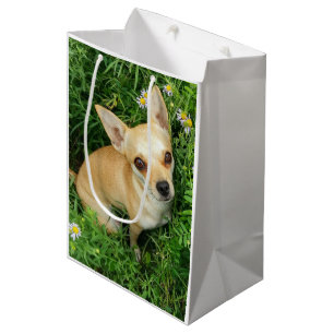 Cute Chihuahua in Grass Meadow Medium Gift Bag