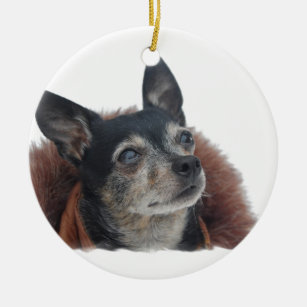 Cute Chihuahua Ornament
