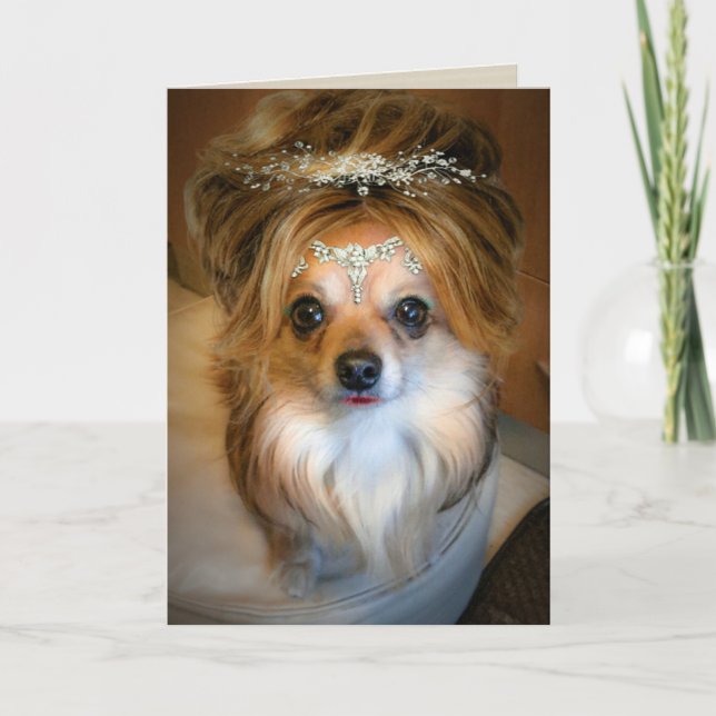 Cute Chihuahua portant une carte d'anniversaire de (Devant)