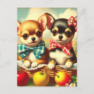 Cute Chihuahua Puppies Postcard