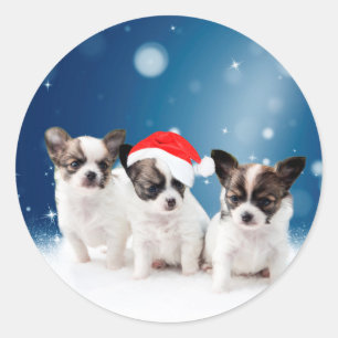 Cute Chihuahua Puppies with Santa Hat Christmas Classic Round Sticker