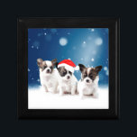 Cute Chihuahua Puppies with Santa Hat Christmas Gift Box<br><div class="desc">Cute Chihuahua Puppies with Santa Hat Christmas</div>