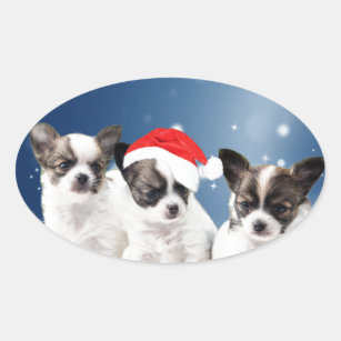 Cute Chihuahua Puppies with Santa Hat Christmas Oval Sticker