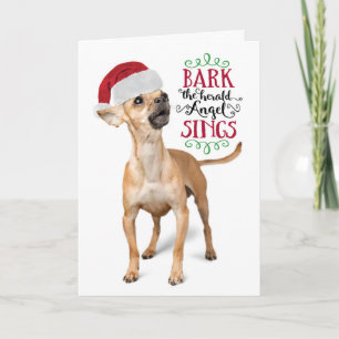 Cute Chihuahua with Santa Hat Holiday