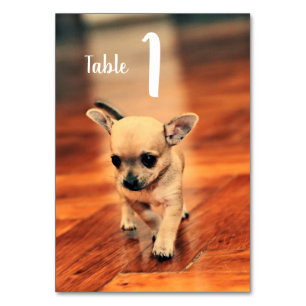Cute Chihuahuas Photo Table Numbers