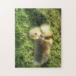 cute child in the grass geese jigsaw puzzle