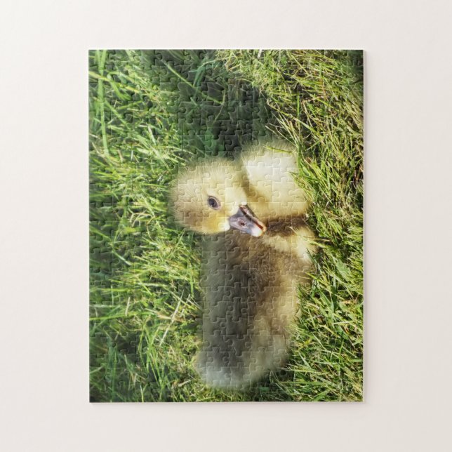 cute child in the grass geese  jigsaw puzzle (Vertical)