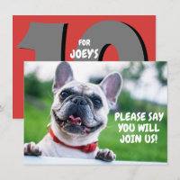 Cute Child's (Any Age) French Bulldog Birthday