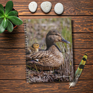 Cute Chillin' Mallard Mom Duck & Baby Duckling Notebook