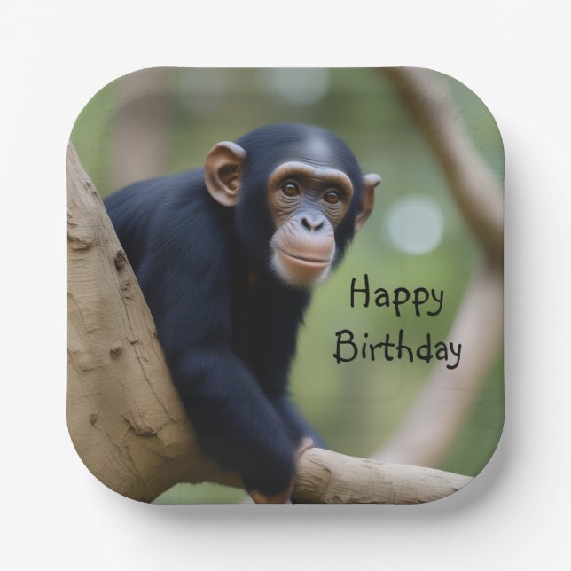 Cute Chimpanzee Birthday Paper Plate (Front)