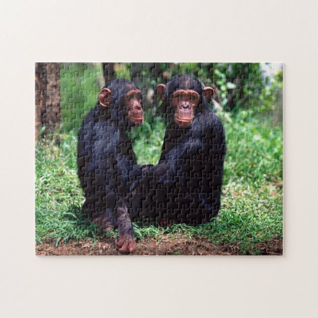 Cute Chimpanzee Siblings, Jigsaw Puzzle (Horizontal)