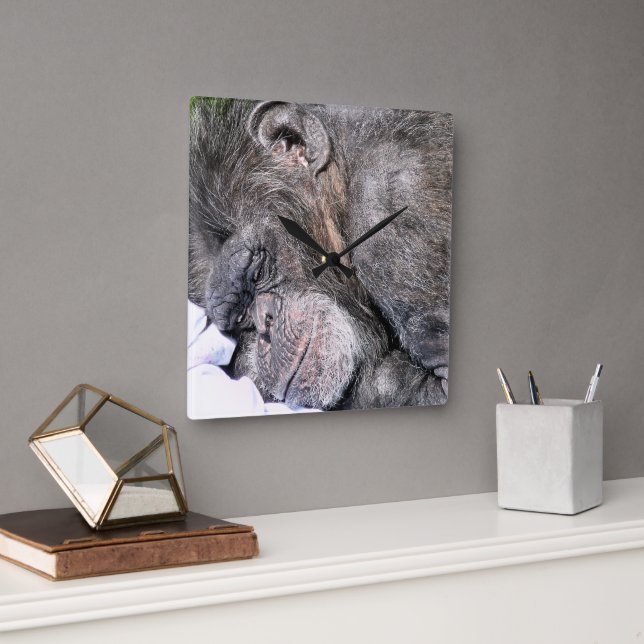 CUTE CHIMPANZEE SQUARE WALL CLOCK (Office)