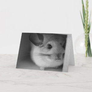 Cute Chinchilla Card