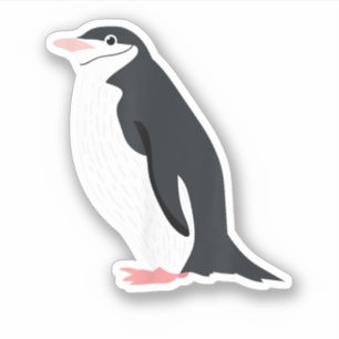 Cute Chinstrap Penguin Funny Antarctic Animal Love