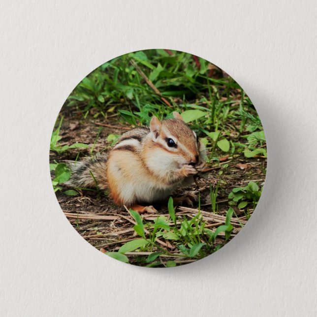 Cute Chipmunk 2 Inch Round Button (Front)