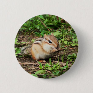 Cute Chipmunk 2 Inch Round Button