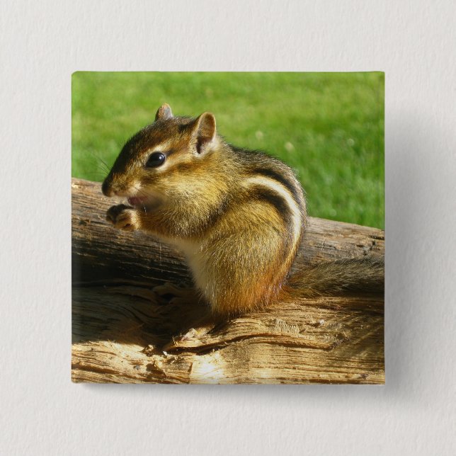 Cute Chipmunk 2 Inch Square Button (Front)