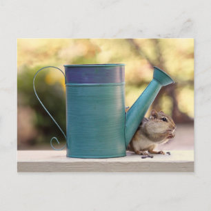 Cute Chipmunk and Watering Can Picture Postcard