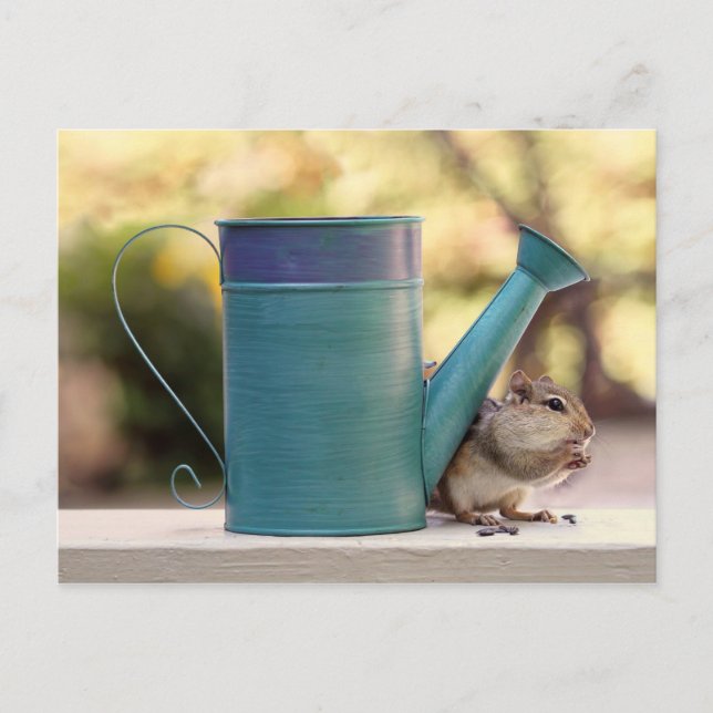 Cute Chipmunk and Watering Can Picture Postcard (Front)