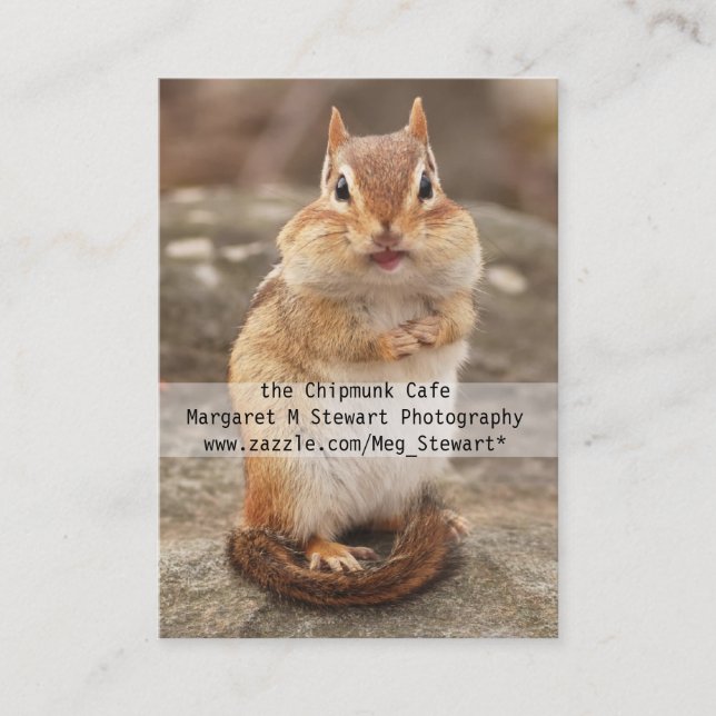 Cute Chipmunk Business Cards (Front)