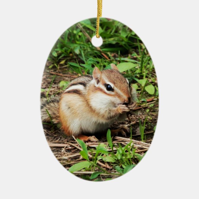 Cute Chipmunk Ceramic Ornament (Front)
