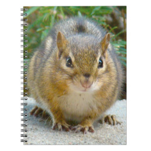 Cute Chipmunk Has His Eye On You Notebook