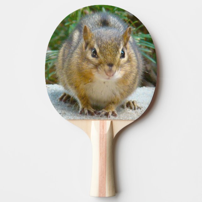 Cute Chipmunk Has His Eye On You Ping Pong Paddle (Front)