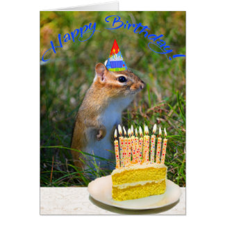 Funny Squirrel Cards, Photocards, Invitations & More