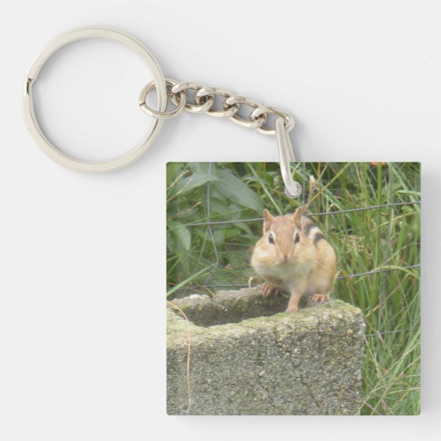 Cute Chipmunk Keychain (Front)