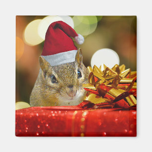 Cute Chipmunk Merry Christmas Magnet