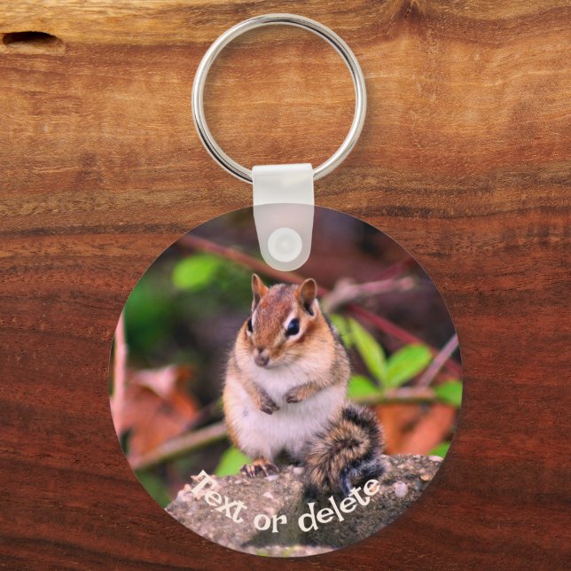 Cute Chipmunk On Rock Personalized Keychain (Front)