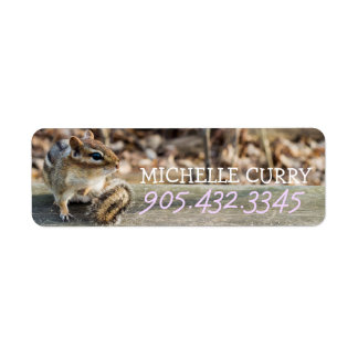 Cute Chipmunk Sitting on Wooden Rail in Forest