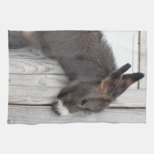 Cute Chocolate Baby Donkey Foal Kitchen Towel