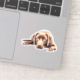 Cute Chocolate Lab