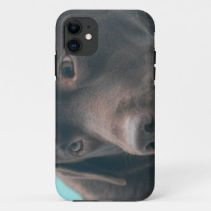 Cute Chocolate Lab iPhone 11 Case