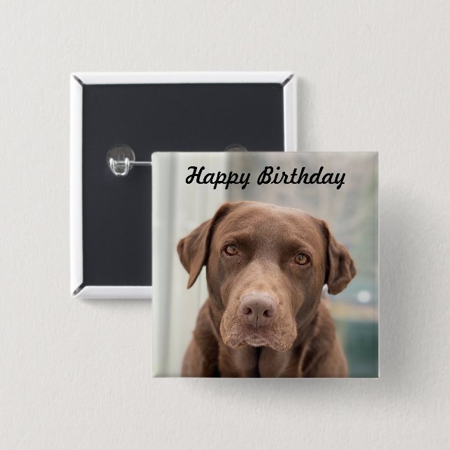 cute chocolate lab Happy Birthday 2 Inch Square Button (Front & Back)