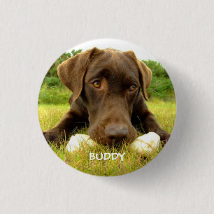 Cute Chocolate Labrador Custom 1 Inch Round Button