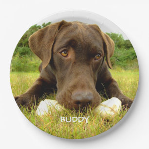 Cute Chocolate Labrador Custom Paper Plate