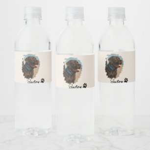 Cute Chocolate Labrador Dog – Bailey Pet Gift Water Bottle Label