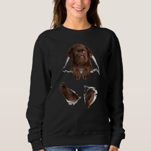 Cute Chocolate Labrador Inside Bag Chocolate Lab M Sweatshirt