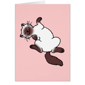 Cute chocolate point Siamese cat