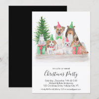 Cute Christmas Animals Dog Cat Puppy Kitten Party