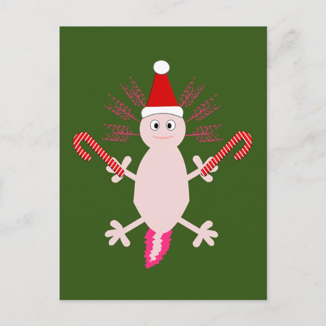 Cute Christmas Axolotl Postcard (Front)