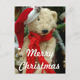 Cute Christmas Bear Photo Postcard