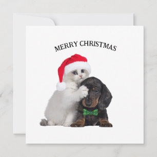 Cute Christmas Cat and Funny Dog Christmas Card
