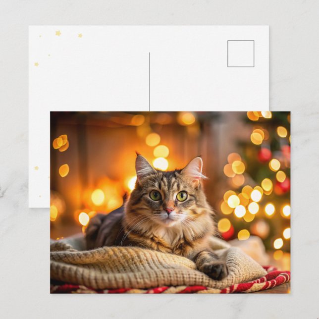 Cute Christmas Cat Holiday Postcard (Front/Back)